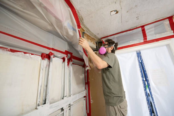  , PA Mold Removal Pros