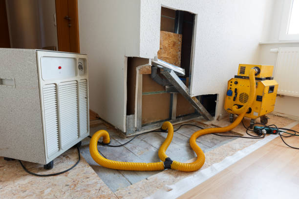  , PA Mold Removal Pros